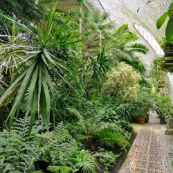 Lednice Greenhouse (Palm House) - Breclav