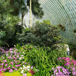 Lednice Greenhouse (Palm House) - Breclav