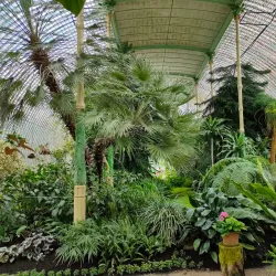 Lednice Greenhouse (Palm House) - Breclav