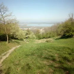 Pavlovské vrchy Nature Reserve - Breclav