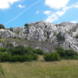 Pavlovské vrchy Nature Reserve - Breclav