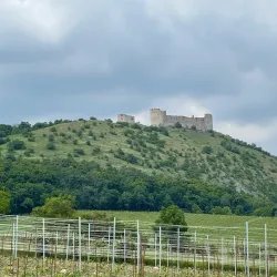 Pavlovské vrchy Nature Reserve - Breclav