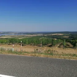 Pavlovské vrchy Nature Reserve - Breclav