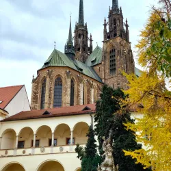 Cathedral of St. Peter and Paul - Brno