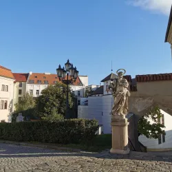 Cathedral of St. Peter and Paul - Brno