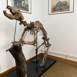 Moravian Museum - Brno