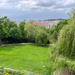 Villa Tugendhat - Brno