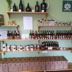 Broumov Brewery - Broumov