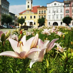 Broumov Town Square (Náměstí Broumov) - Broumov