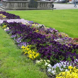 Broumov Town Square (Náměstí Broumov) - Broumov