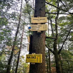 Broumov Walls (Broumovské stěny) - Broumov