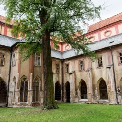 Dominican Monastery and Church of the Presentation of the Virgin Mary - Ceske Budejovice