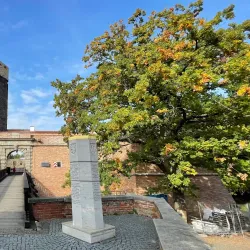 Cheb Synagogue - Cheb