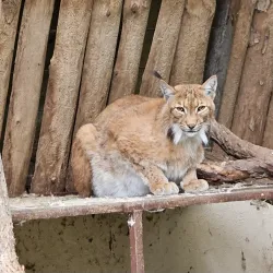 Chomutov Zoo - Chomutov