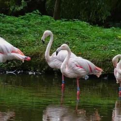 Chomutov Zoo - Chomutov