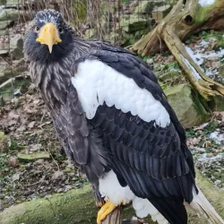 Chomutov Zoo - Chomutov