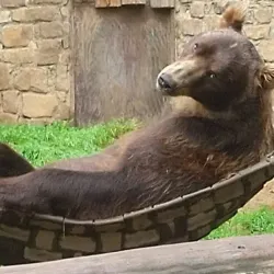 Děčín Zoo - Děčín