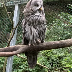 Děčín Zoo - Děčín