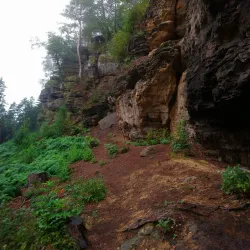 Elbe River Boat Tours - Děčín