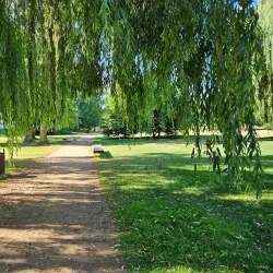 Tyršovy Sady Park - Děčín