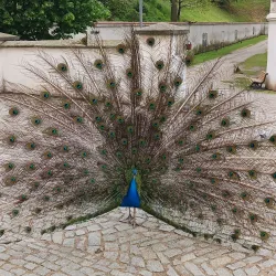 Tyršovy Sady Park - Děčín