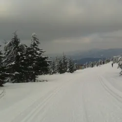 Beskydy Mountains - Frýdek-Místek