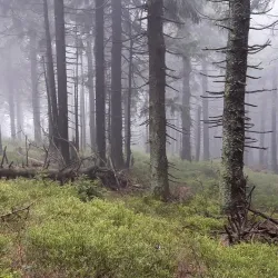 Beskydy Mountains - Frýdek-Místek