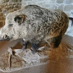 Silesian Ostrava Castle - Frýdek-Místek