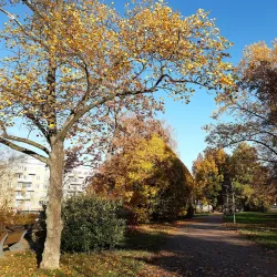 Havířov City Park (Městský park Havířov) - Havirov