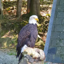 Lesní Park (Forest Park) - Havirov