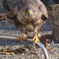 Lesní Park (Forest Park) - Havirov