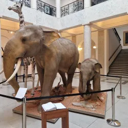 Silesian Museum in Havířov - Havirov