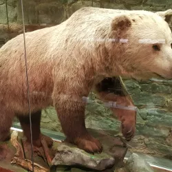 Silesian Museum in Havířov - Havirov