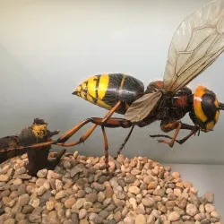 Silesian Museum in Havířov - Havirov