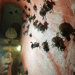 Havlíčkův Brod Museum - Havlíčkův Brod