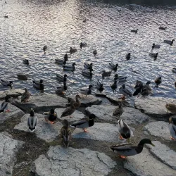Jihlava River Promenade - Havlíčkův Brod