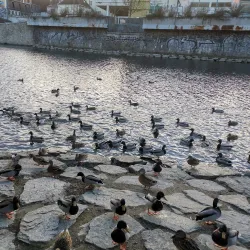 Jihlava River Promenade - Havlíčkův Brod