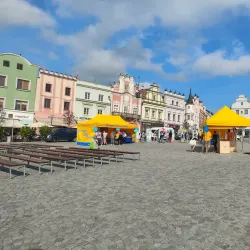 Local Art Galleries - Havlíčkův Brod