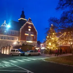 Church of the Assumption of the Virgin Mary - Hodonín