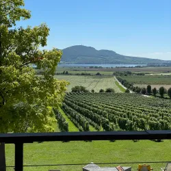 Moravian Slovakia Wine Region - Hodonín