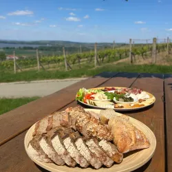 Moravian Slovakia Wine Region - Hodonín