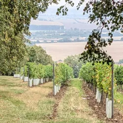 Svatý Antonínek Pilgrimage Site - Hodonín