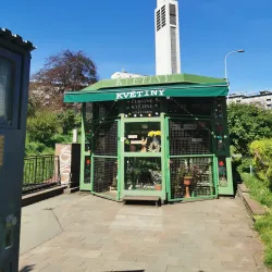 Church of St. Wenceslas - Holesov