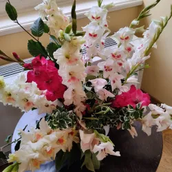 Holesov Castle - Holesov