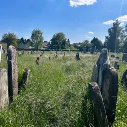 Jewish Cemetery in Holesov - Holesov