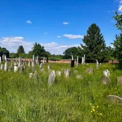 Jewish Cemetery in Holesov - Holesov