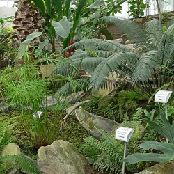 Botanical Garden of Hradec Králové - Hradec Kralove