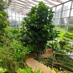 Botanical Garden of Hradec Králové - Hradec Kralove
