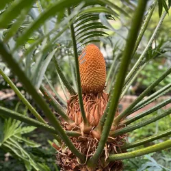 Botanical Garden of Hradec Králové - Hradec Kralove