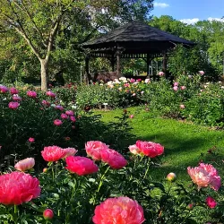 Botanical Garden of Hradec Králové - Hradec Kralove